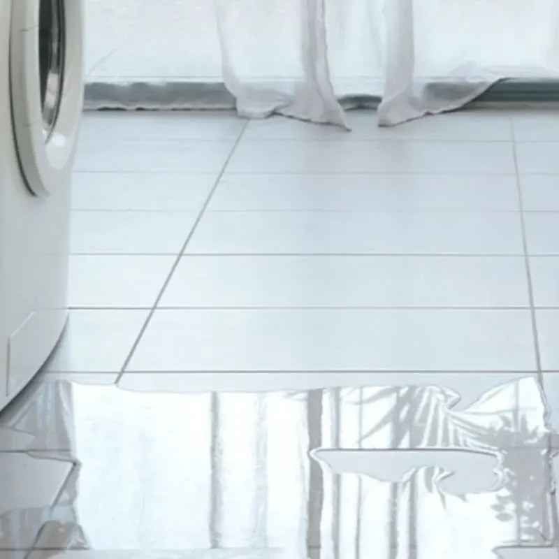 Appliance Leak Cleanup in Springtown, TX