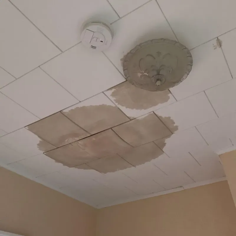 Ceiling Water Damage Repair in Springtown, TX