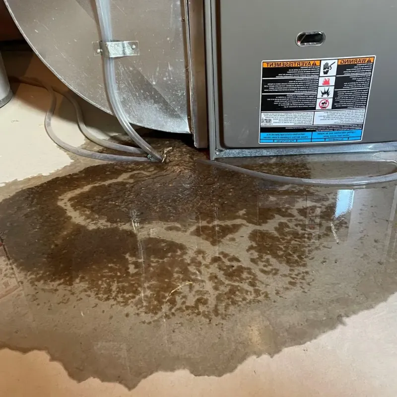 Pipe Burst and Leak Restoration in Springtown, TX