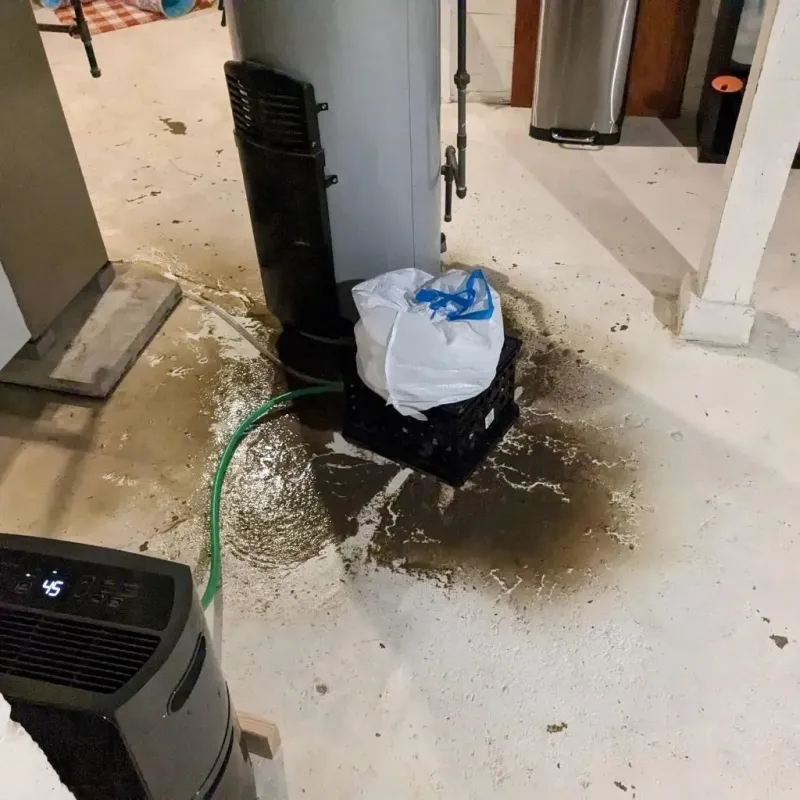 Sewage Backup Cleanup Service in Springtown, TX